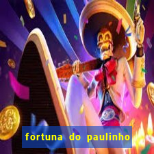 fortuna do paulinho do roupa nova